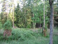 juni2007 2 322